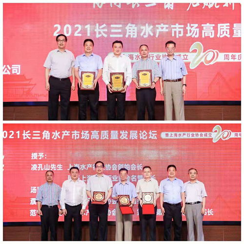 协同长三角 启航新征程