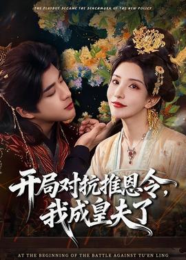 开局对抗推恩令，我成皇夫了——白日焰火免费完整版