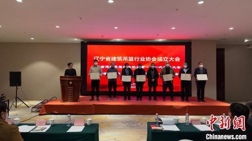 辽宁成立建筑吊篮行业协会，引导行业安全规范发展